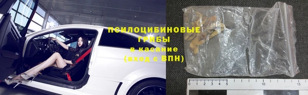 амф Бородино