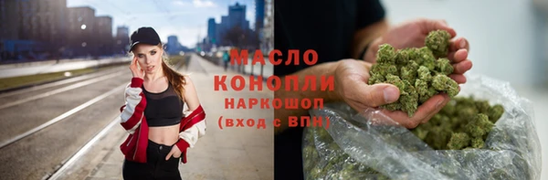 амф Бородино