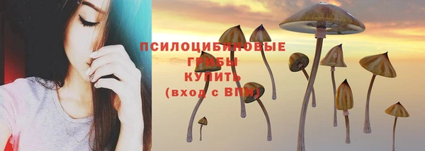 трава Бронницы