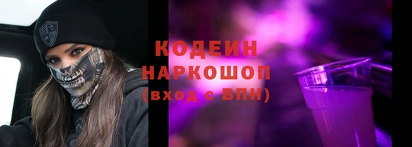 амф Бородино