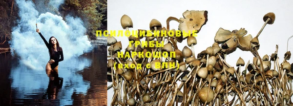 прущие крисы Бугульма