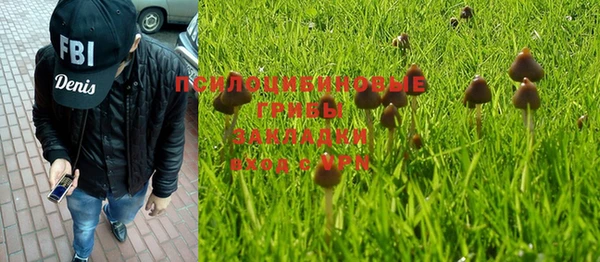 трава Бронницы