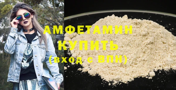 амф Бородино